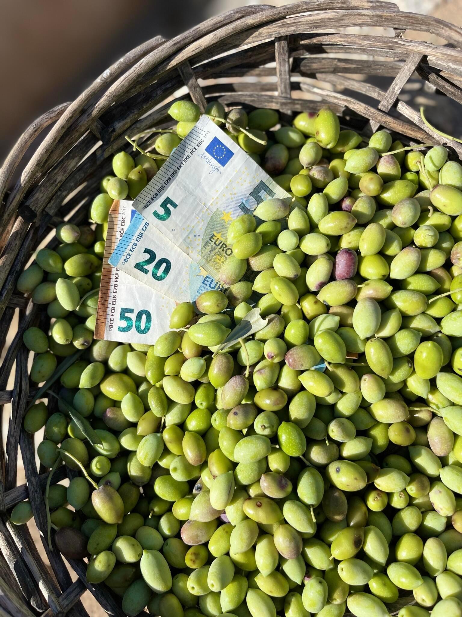 Olivenöl Preise