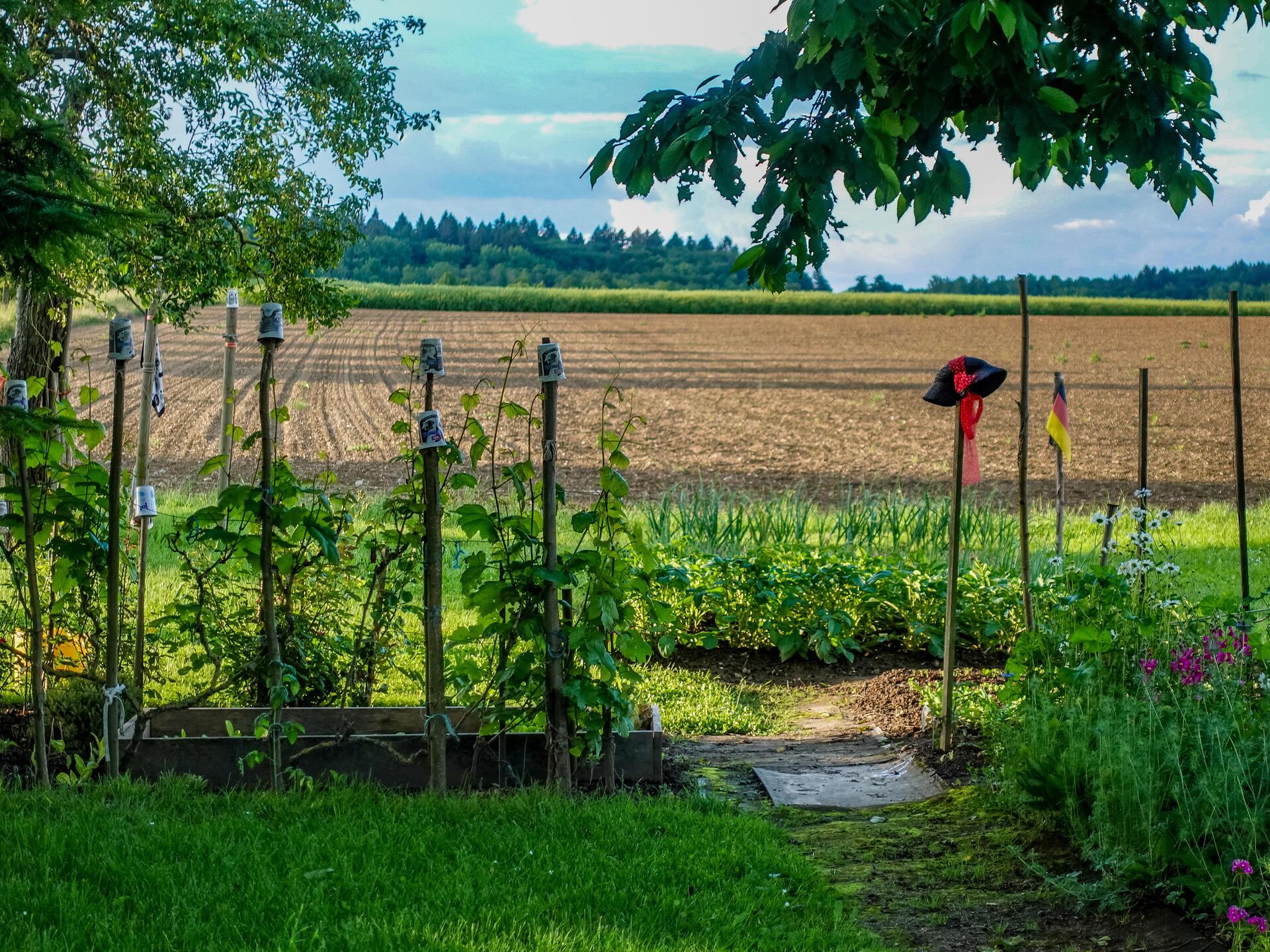 Garten- und Landschaftsbauer